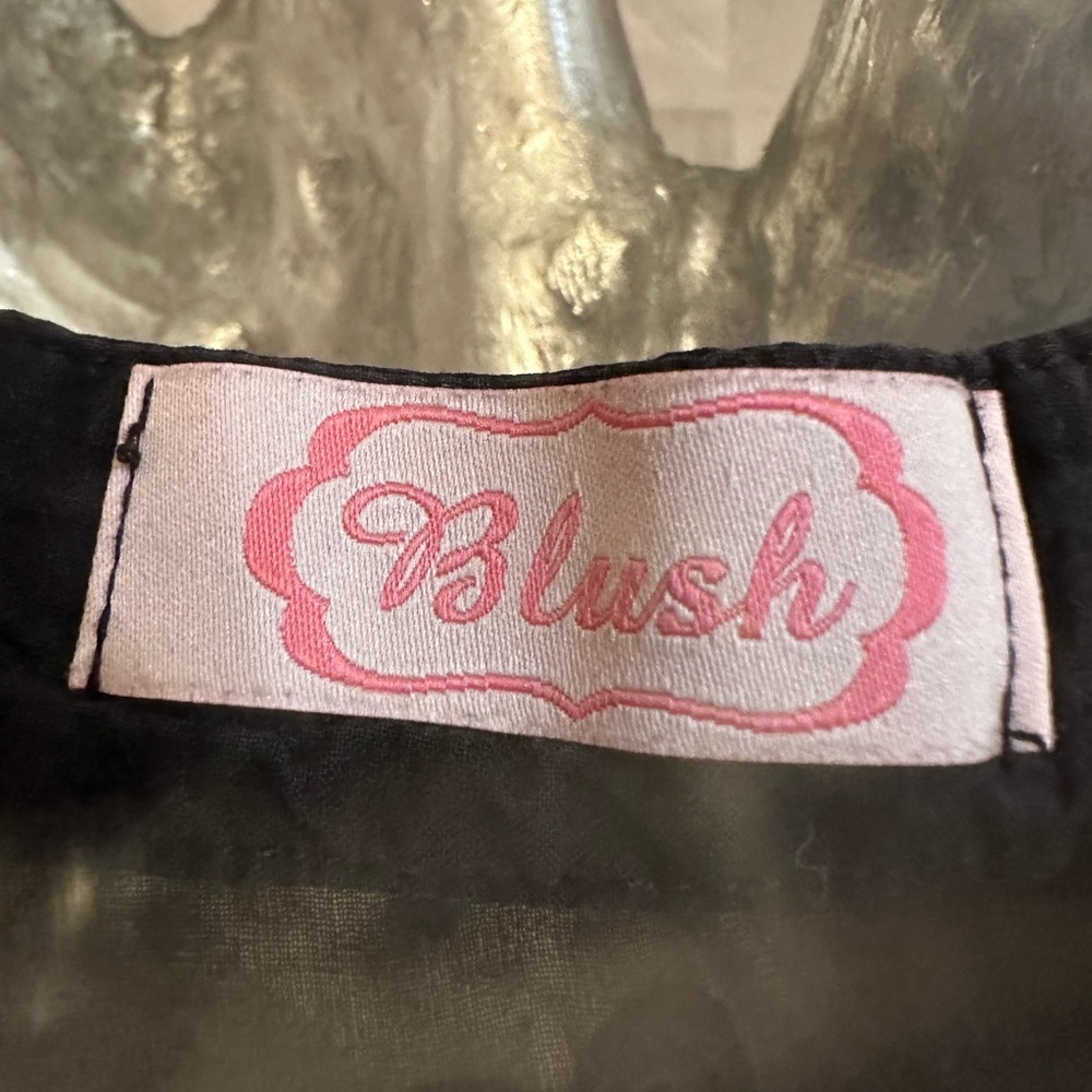 Blush Brand Button down dress tank top. Size medium - Picture 3 of 9